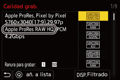 gui_rec-quality_RAW_spa