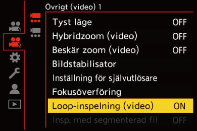gui_loop-rec2_swe