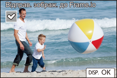 gui_frameio3_ukr