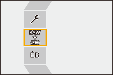 gui_raw-processing6_fre