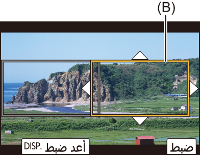 gui_4k_live_crop2-2_ara