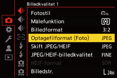 gui_picture-fileformat_dan