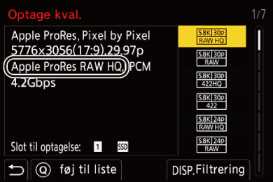 gui_rec-quality_RAW_dan