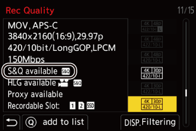 gui_rec-quality-s_and_q_eng