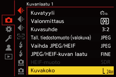 gui_picture-size_fin