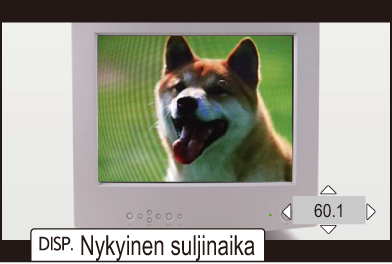 gui_synchro-scan-photo2_fin