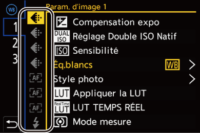 gui_fn-button-set05_fre