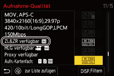 gui_rec-quality-s_and_q_ger