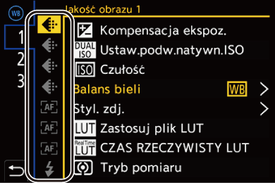 gui_fn-button-set05_pol