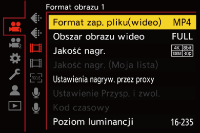 gui_rec-file-format_pol