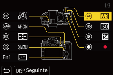 gui_fn-button-set02_por