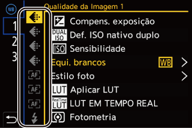 gui_fn-button-set05_por