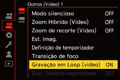gui_loop-rec2_por