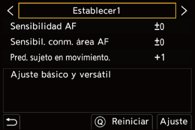 gui_af-custom-photo2_spa