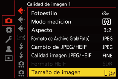 gui_picture-size_spa