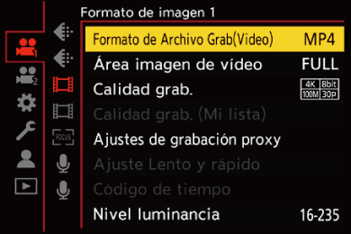 gui_rec-file-format_spa