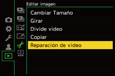 gui_video-repair1_spa