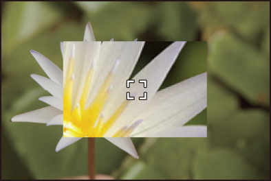 gui_af-point-scope1