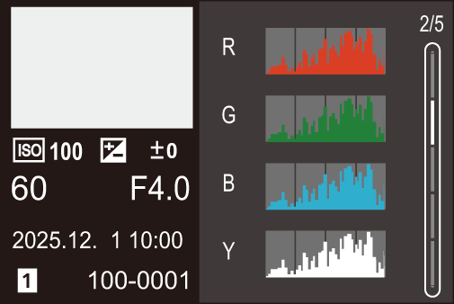 gui_screen-display-playing-detail2