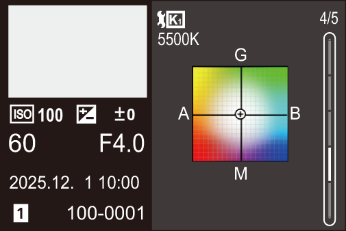 gui_screen-display-playing-detail4