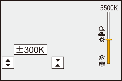 gui_wb-temp-bracket1