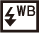 icon_wb-flash