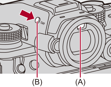 image_display1