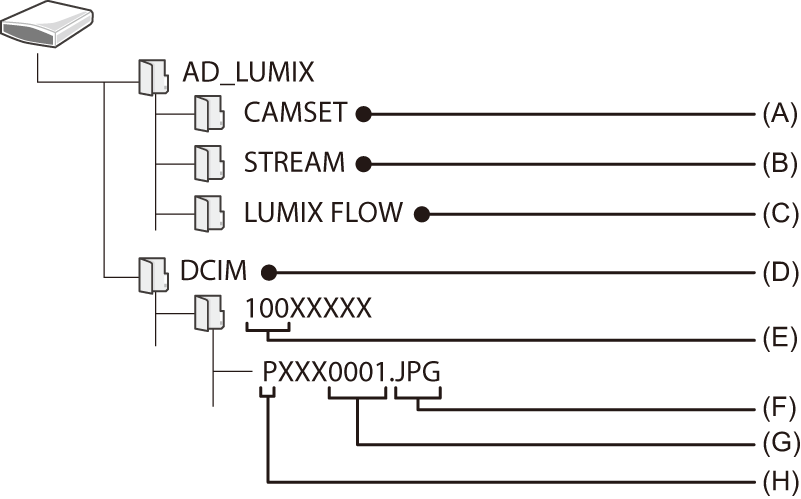 image_folder