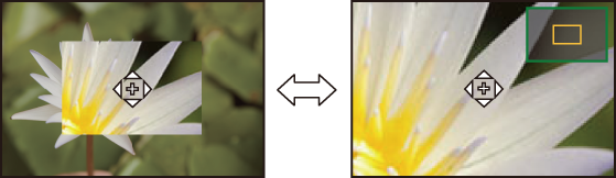 image_pin-point-af-monitor