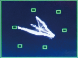 image_vector-2