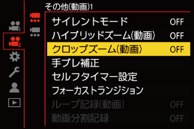 gui_crop-zoom-video_jpn