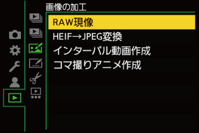 gui_play-rawprocessing01-1_jpn