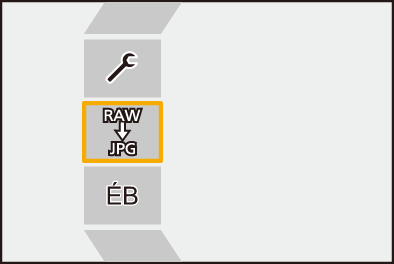 gui_raw-processing6_fre
