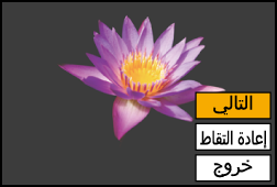 gui_multi-exposure2_ara