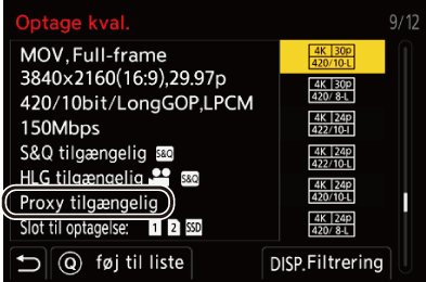 gui_proxy_record1_dan