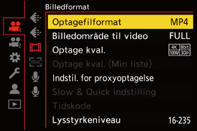 gui_rec-file-format_dan