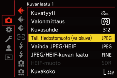 gui_picture-fileformat_fin
