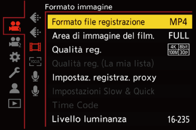 gui_rec-file-format_ita