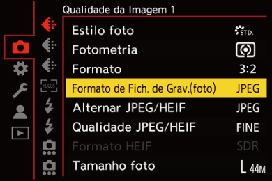 gui_picture-fileformat_por