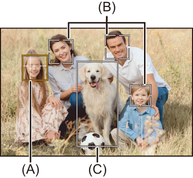 image_face-detect-new1_l