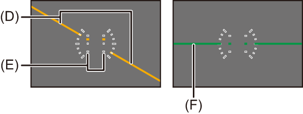 image_rec-mode-display-level