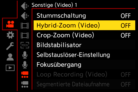 gui_hybrid-zoom-video_ger