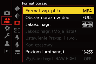 gui_rec-file-format_pol