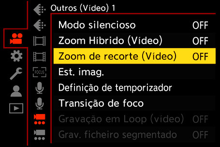 gui_crop-zoom-video_por