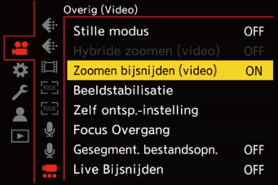 gui_crop-zoom-video_dut