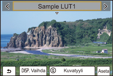 gui_realtime_lut_fwup_fin