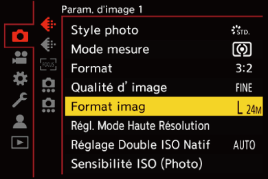 gui_picture-size_fre