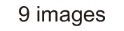 icon_bur-recor-num_fre