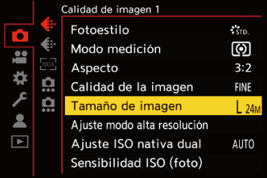 gui_picture-size_spa
