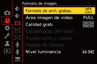 gui_rec-file-format_spa
